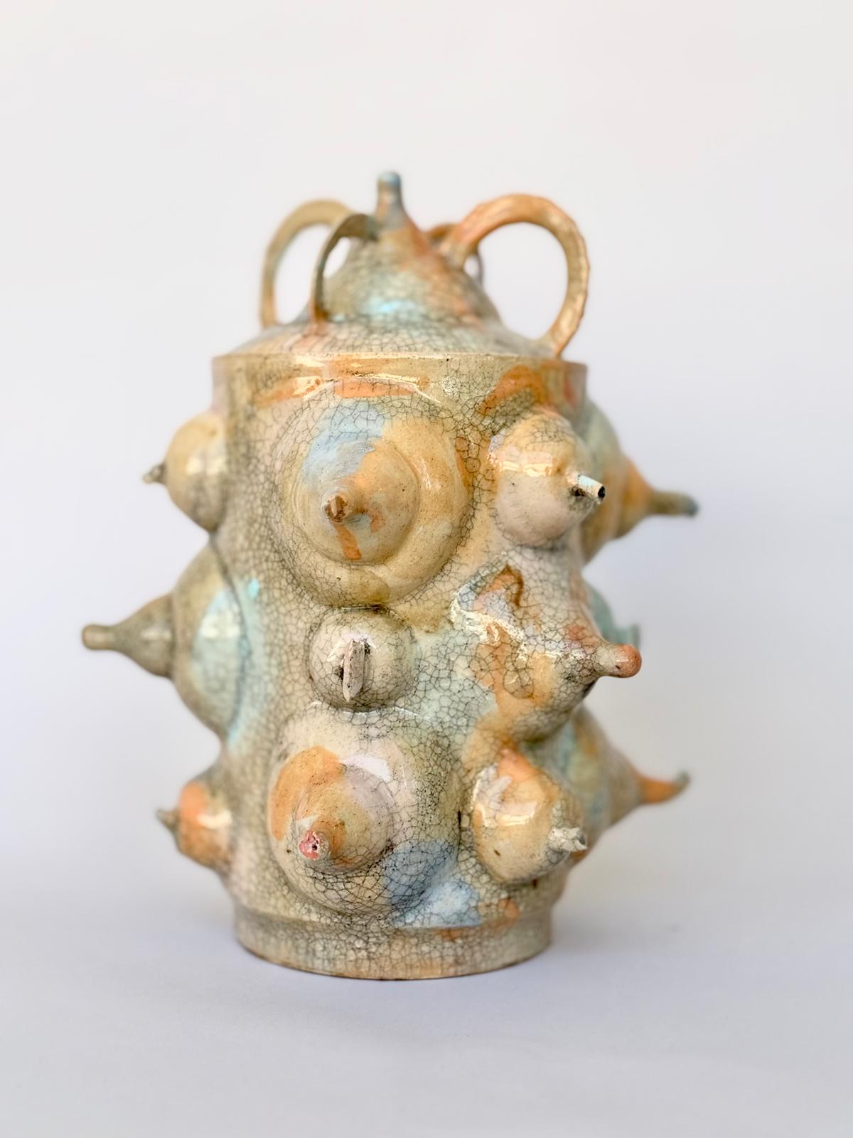 Bold & Witty: Breast Form Crackle Vase with Lid