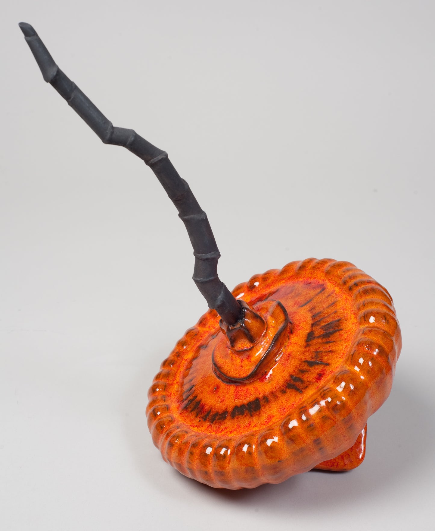 Acorn