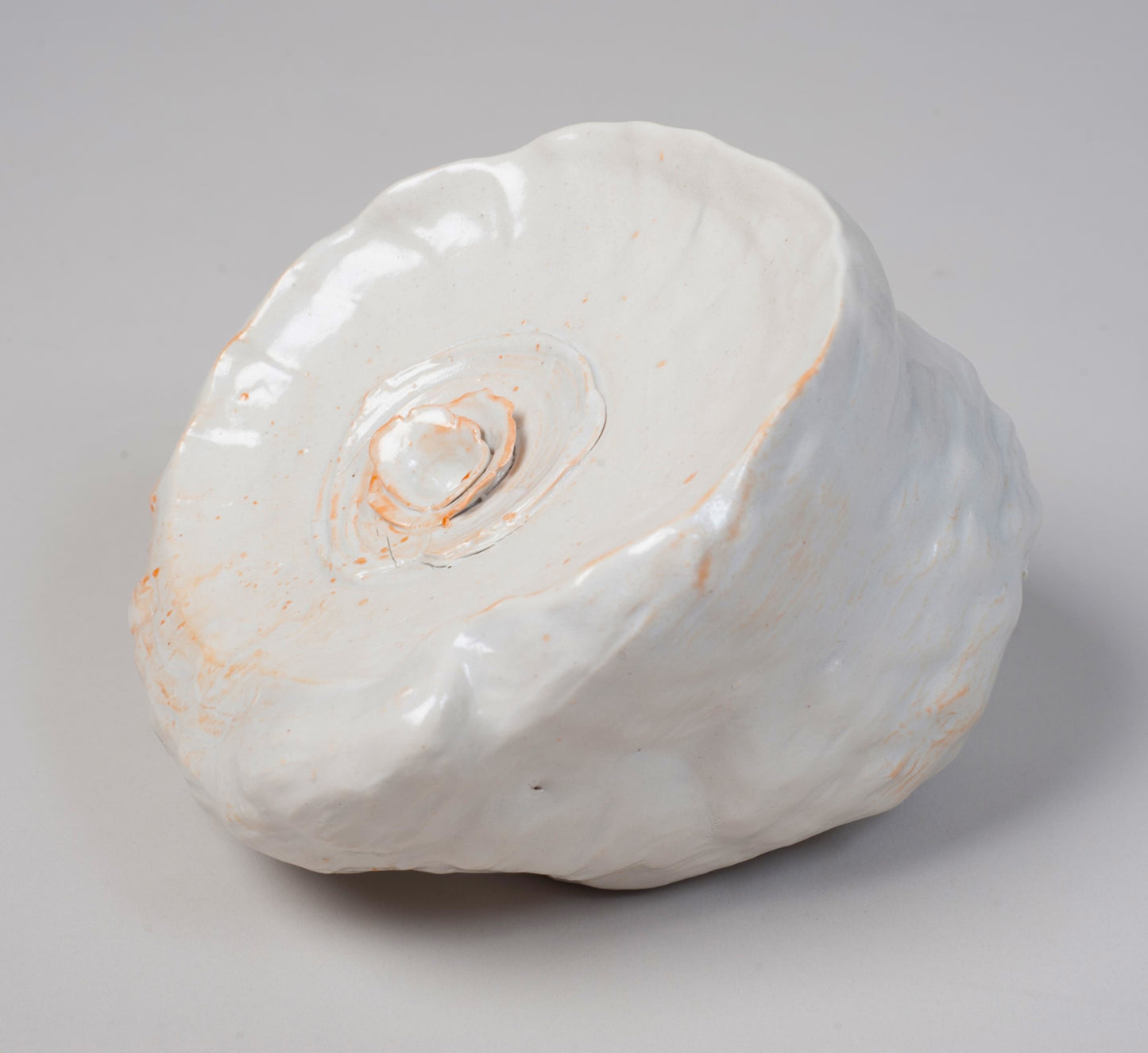 Shell