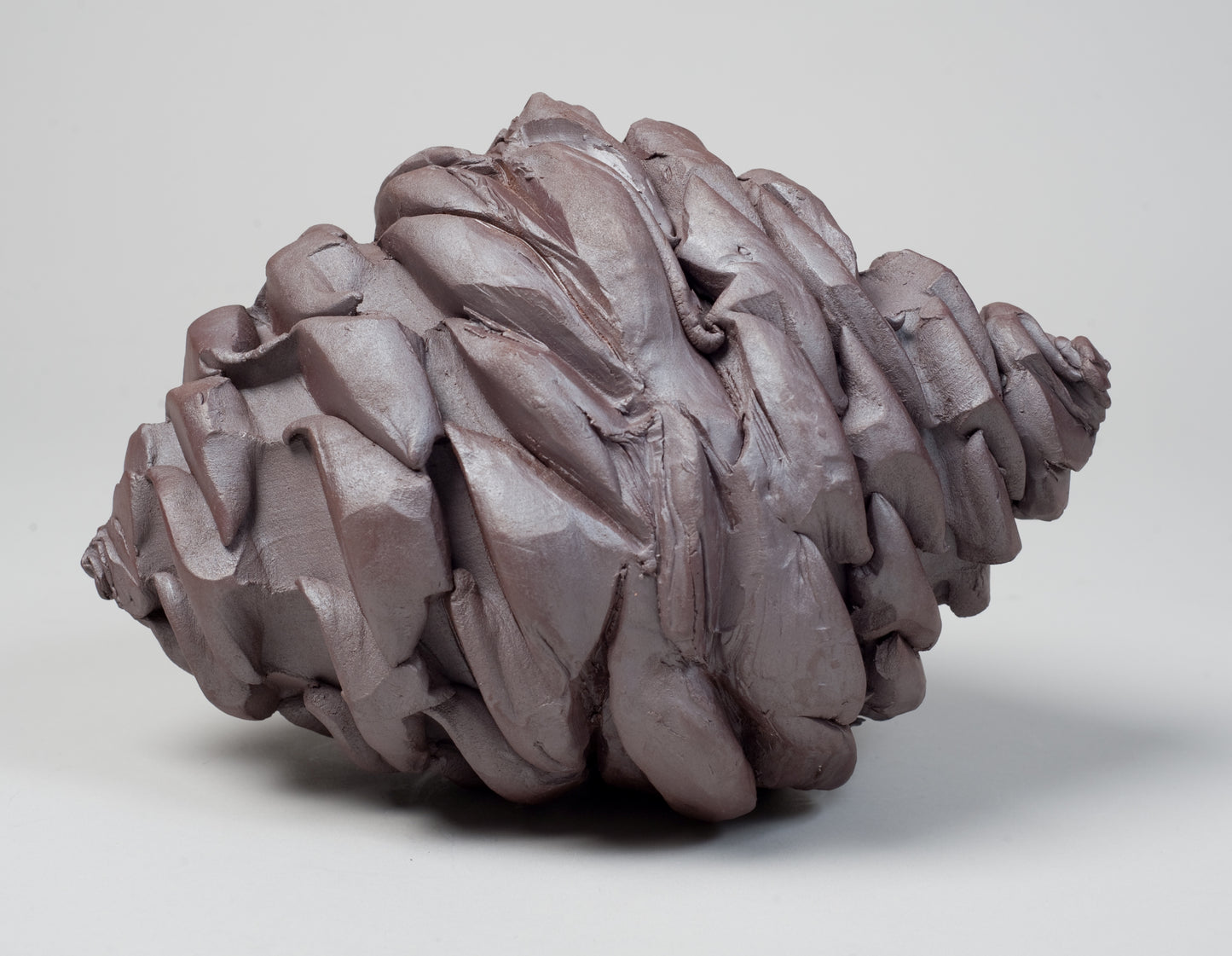 Acorn