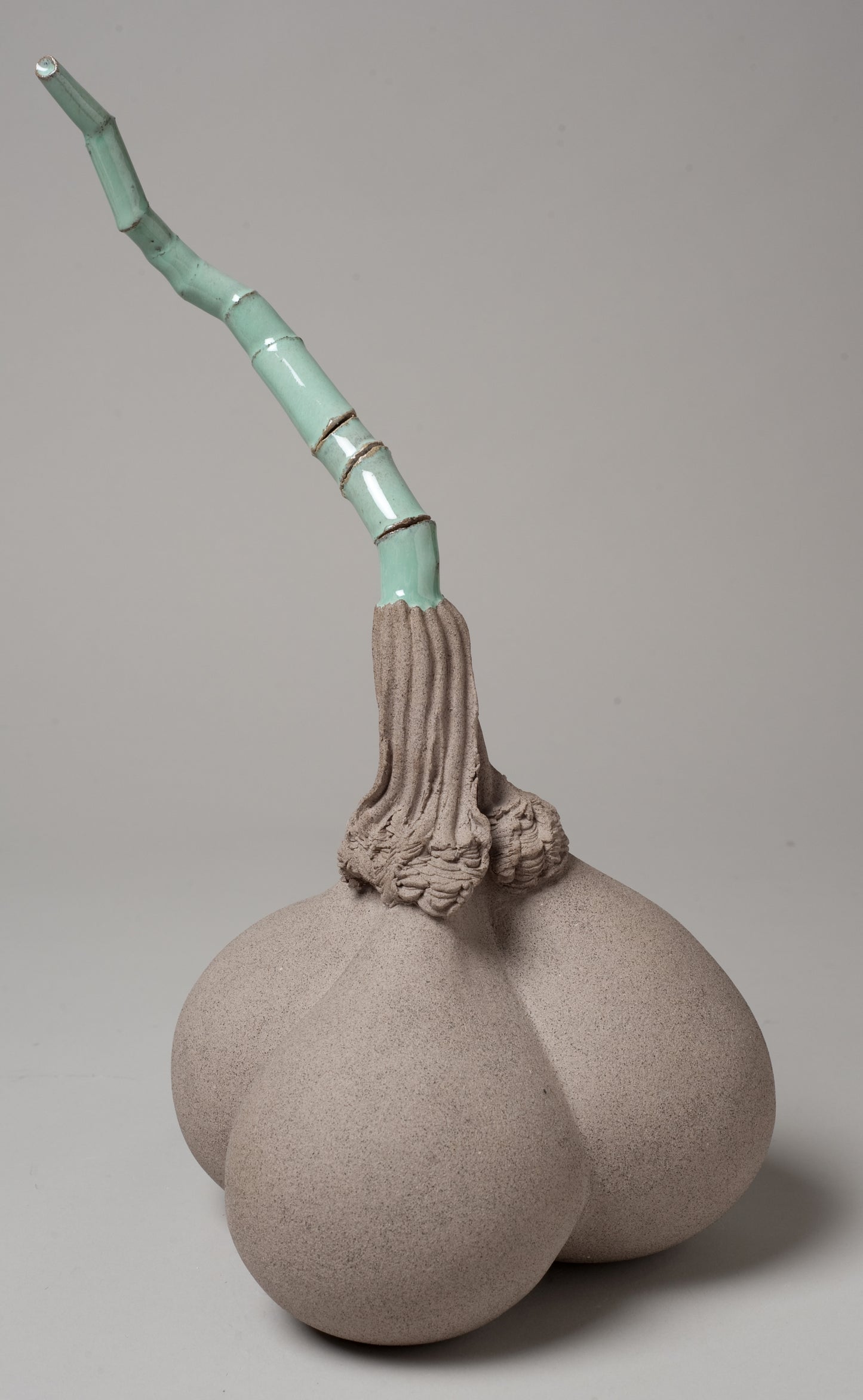 Onion