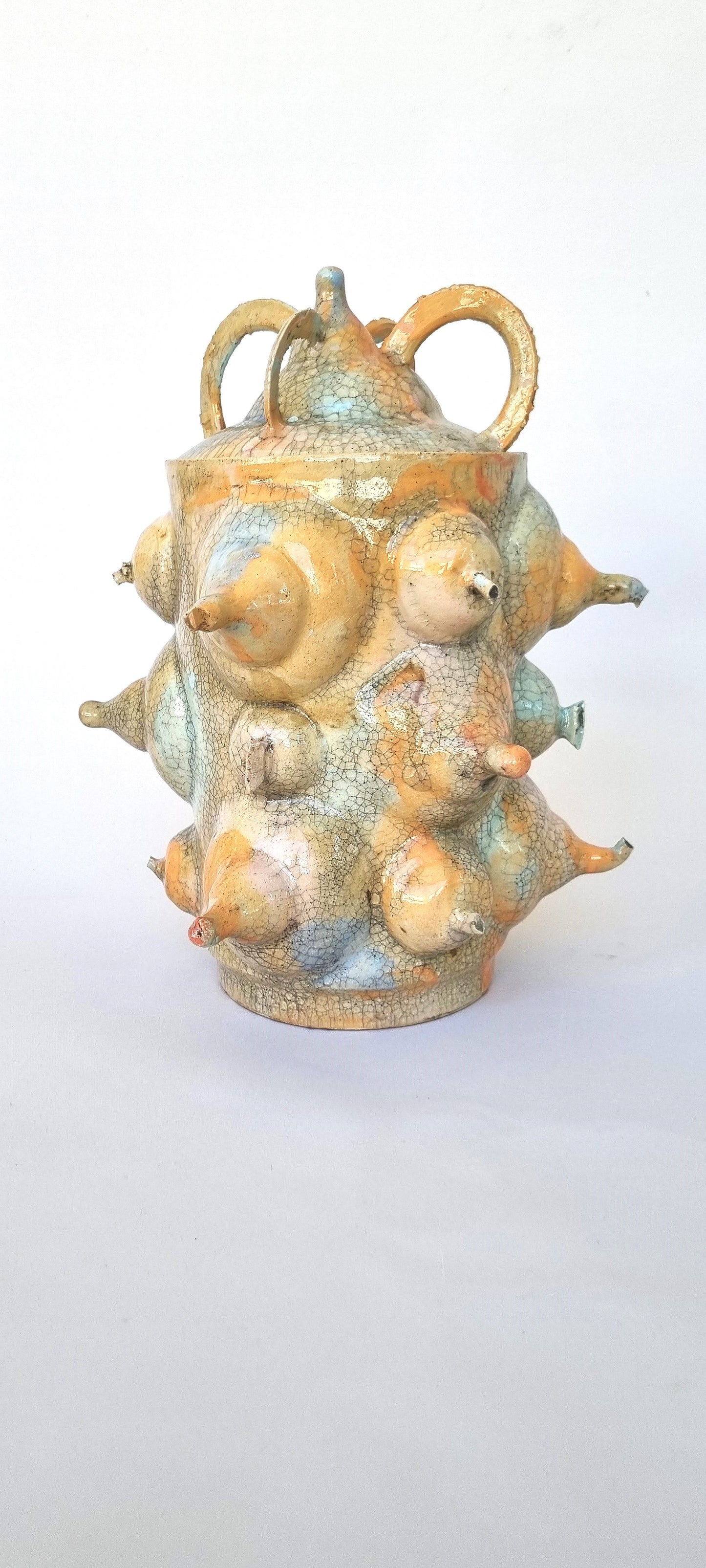 Bold & Witty: Breast Form Crackle Vase with Lid