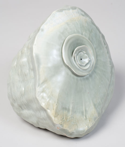 Shell