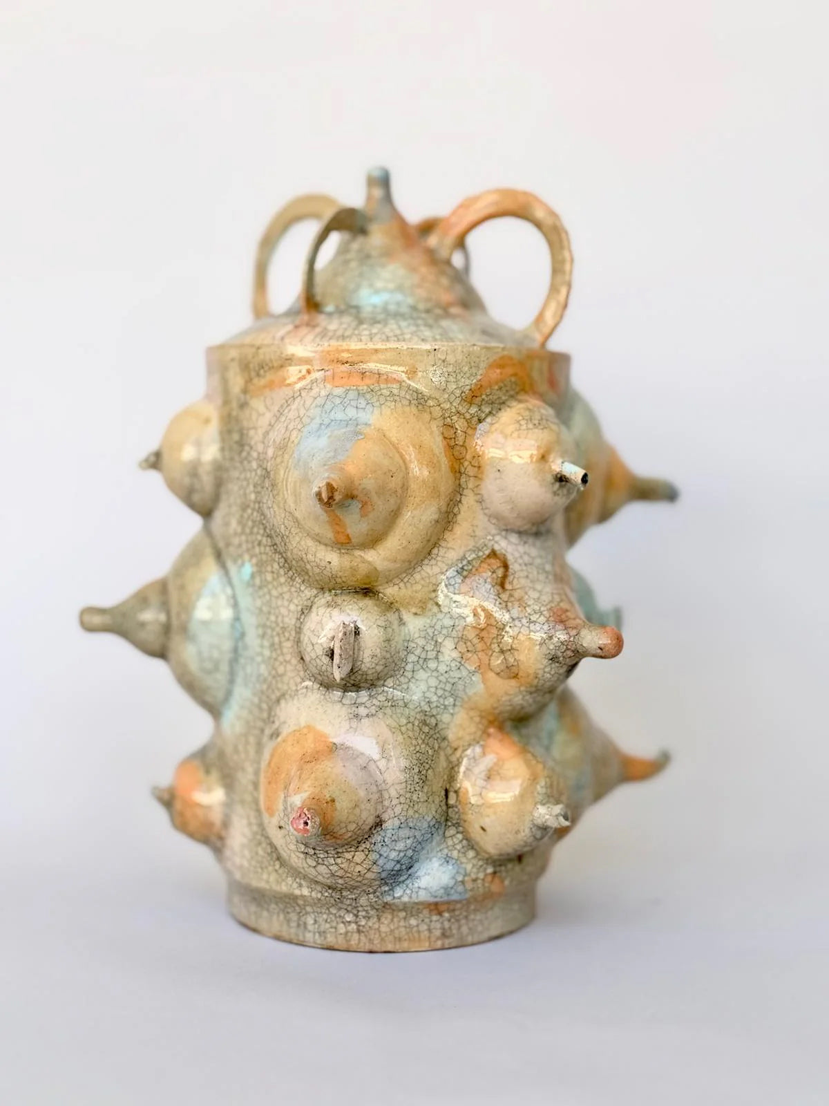 Bold & Witty: Breast Form Crackle Vase with Lid