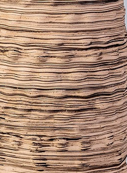 Huge Ceramic  Bottle